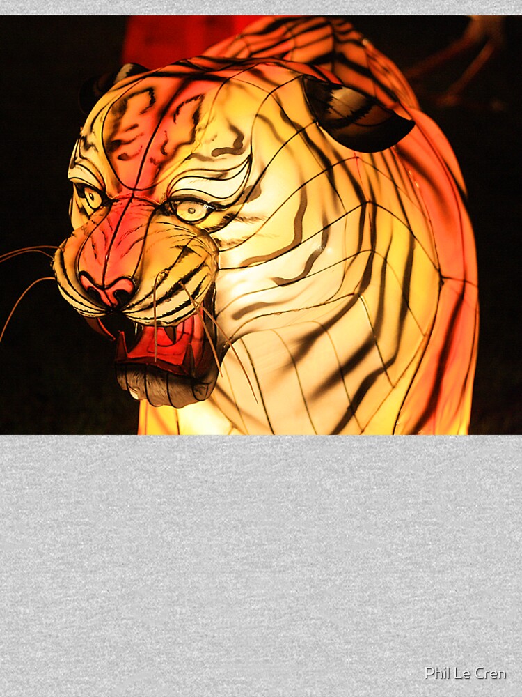 Tiger (2) Night - Chinese Lantern Festival 2012 by Phil Le Cren
