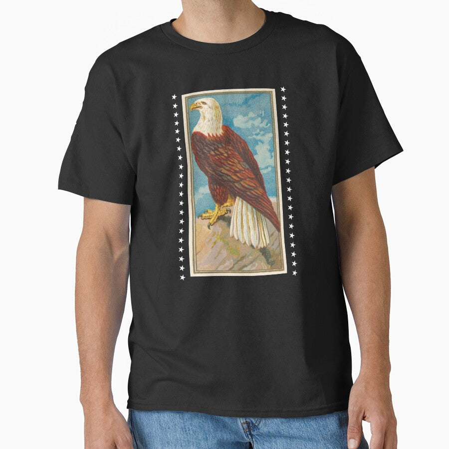 Vintage Illustration - American Bald Eagle by TMBTM
