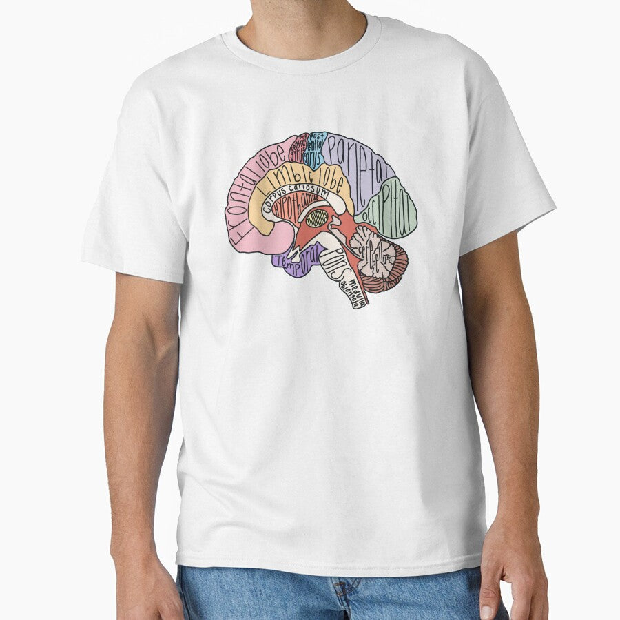 Labeled Brain Anatomy by Katherine Winner