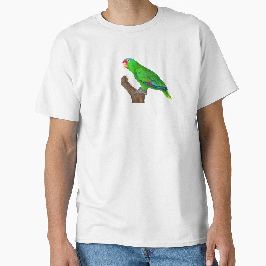 Mexican Red-crowned Amazon Parrot by pjlatasdvm