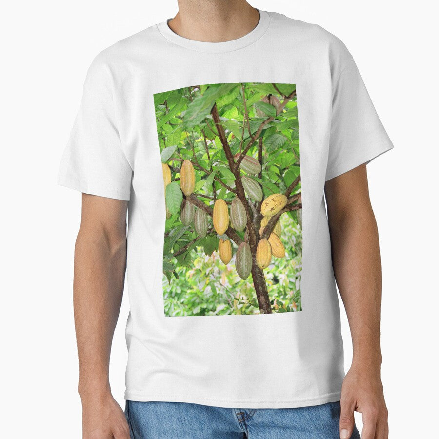 Cocoa tree with pods by photoslot