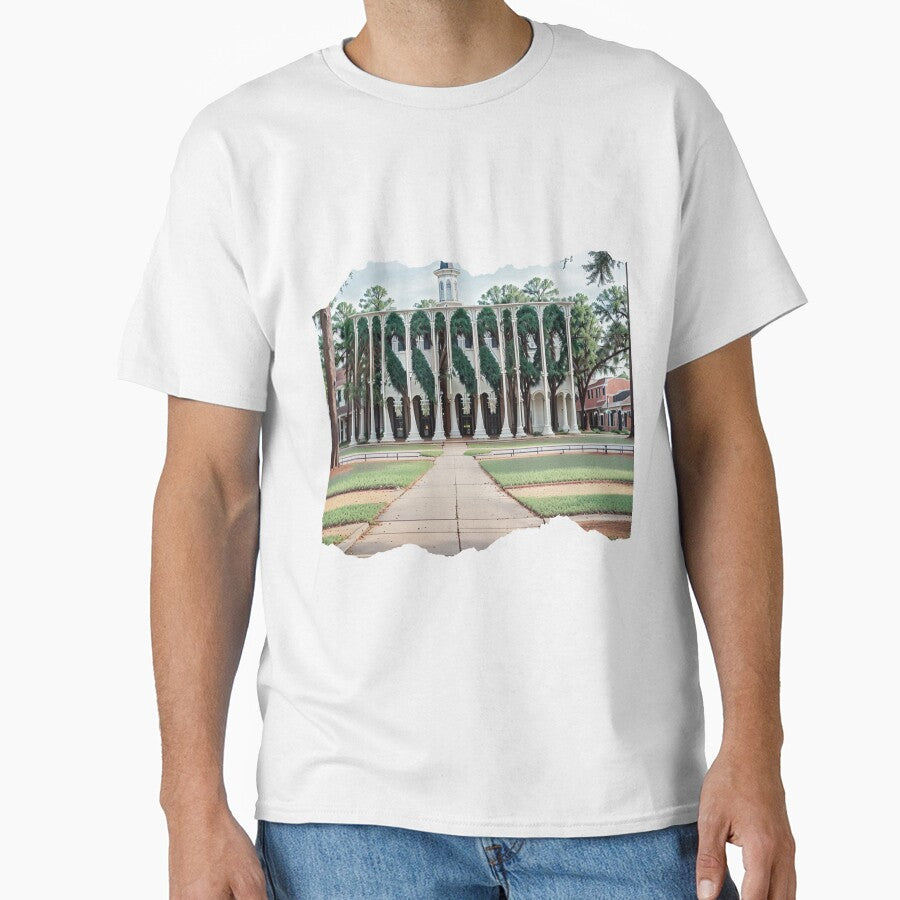 MISSISSIPPI 24 20 by maveluzone