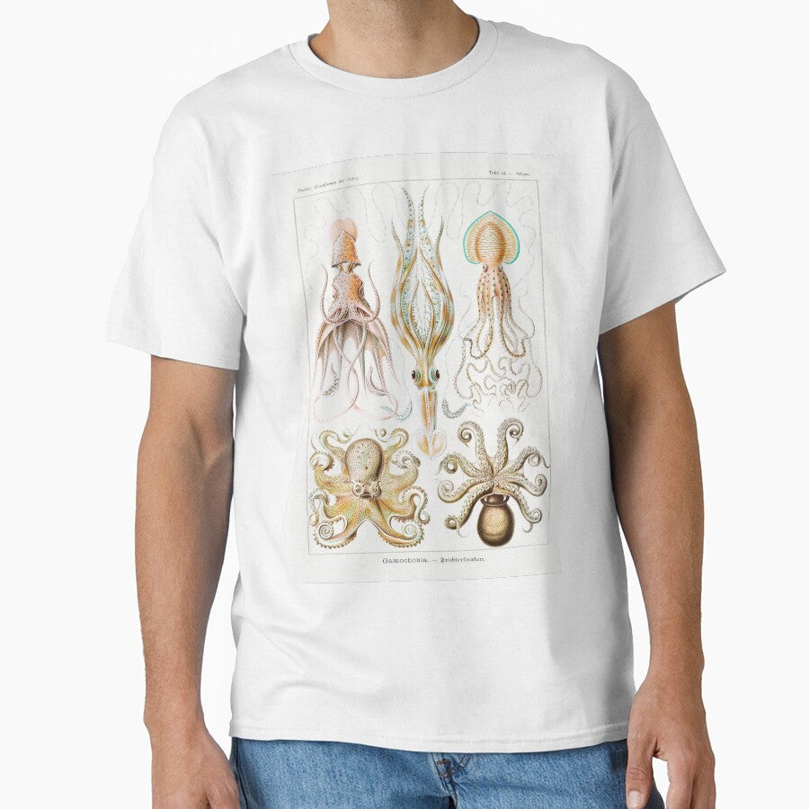 Octopi Squid Vintage Sketches by SuziQPrayers427