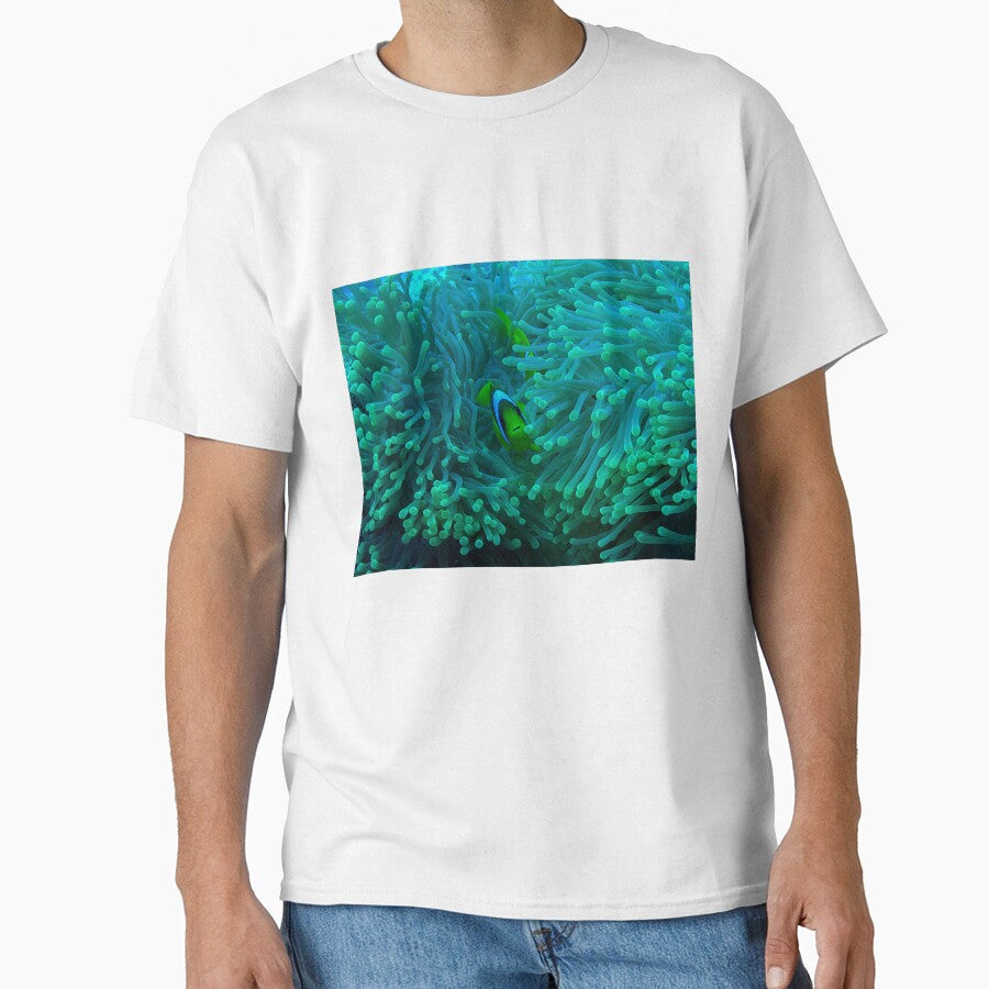 Clownfish by likbatonboot