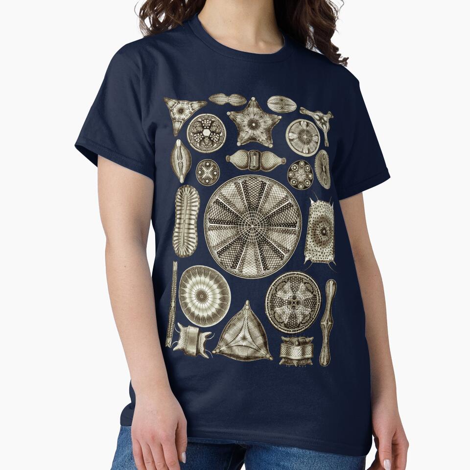 Ernst Haeckel Diatoms Vintage Brown by aimeewilson