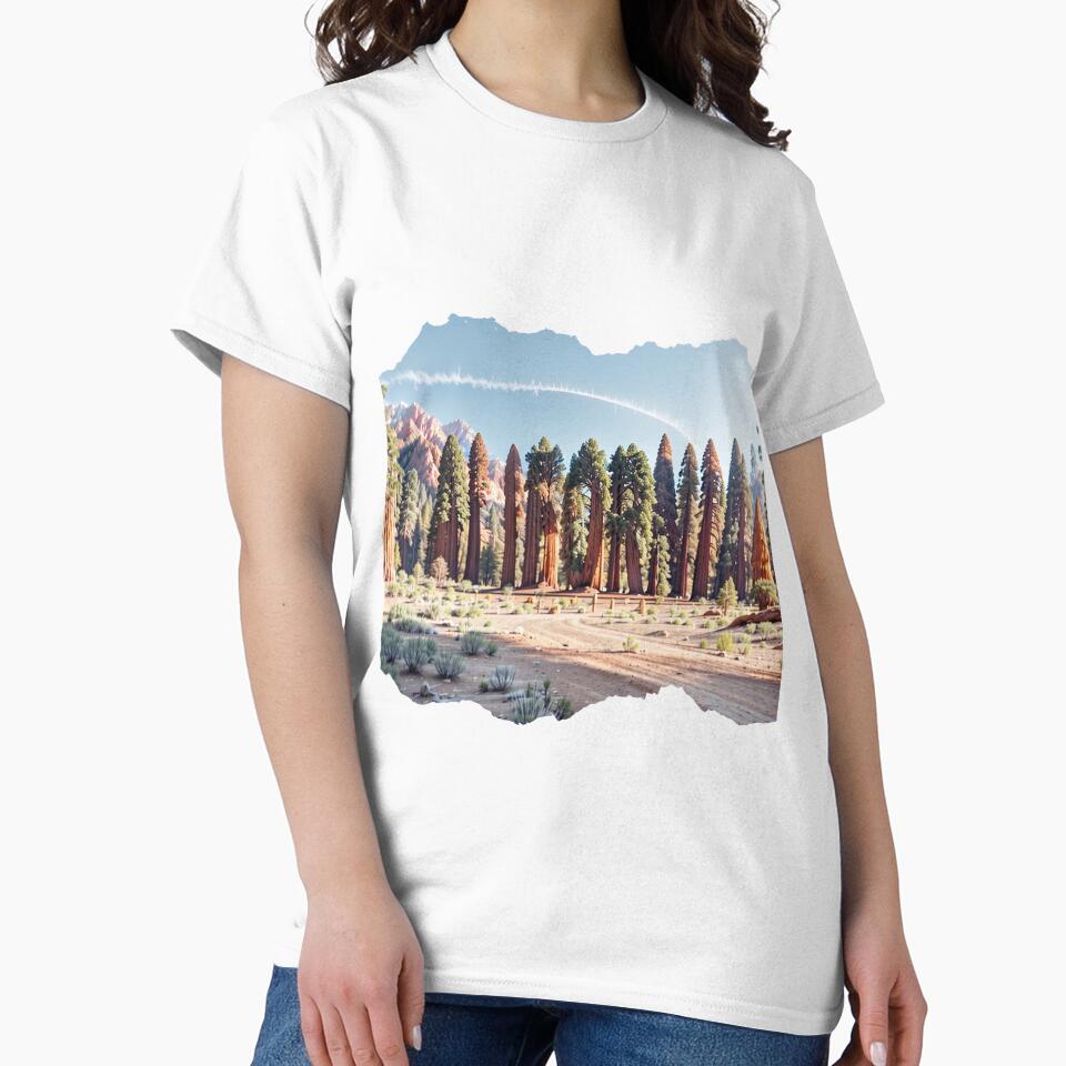 CALIFORNIA 24 5 by maveluzone