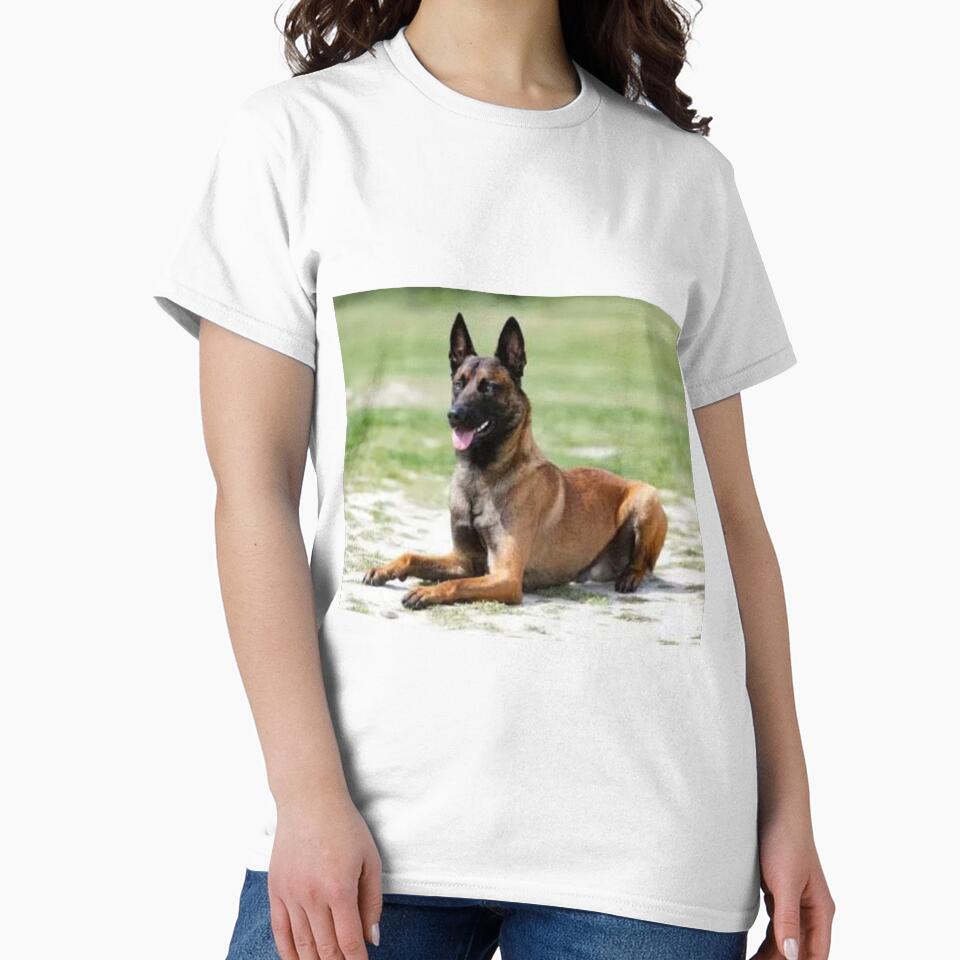 Alert Dog by annenambiro