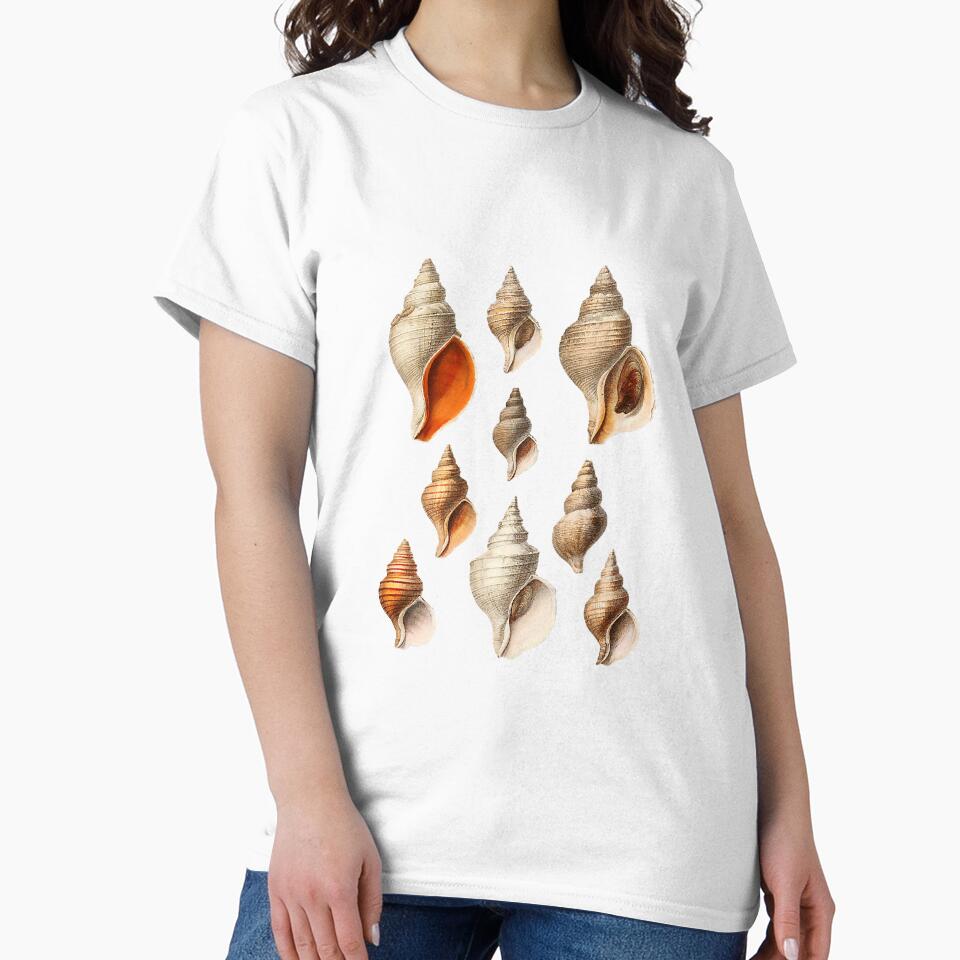 Vintage Seashell Seashell Lover by annhienn488