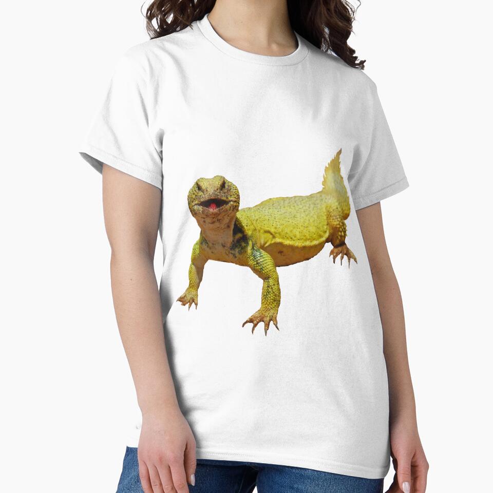 Spiny-tailed lizards (Uromastyx) by Akal70