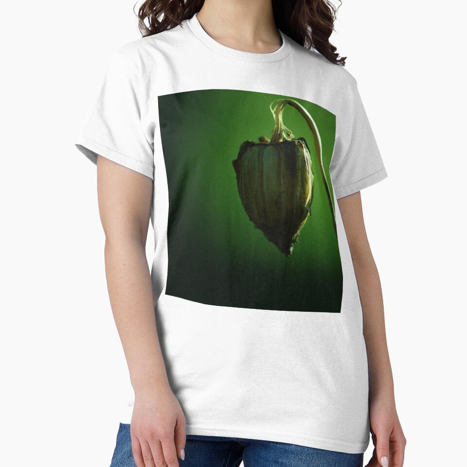 suspended heart by Clare Colins