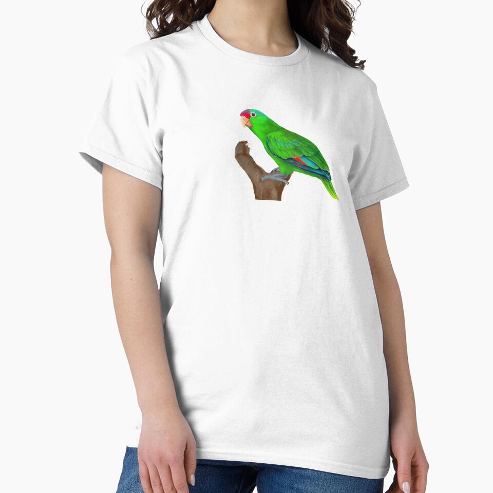 Mexican Red-crowned Amazon Parrot by pjlatasdvm