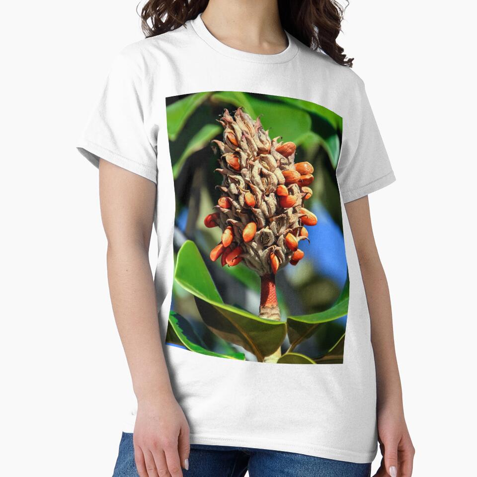 Magnolia Seed Pod Dispensing Seeds by heatherfriedman