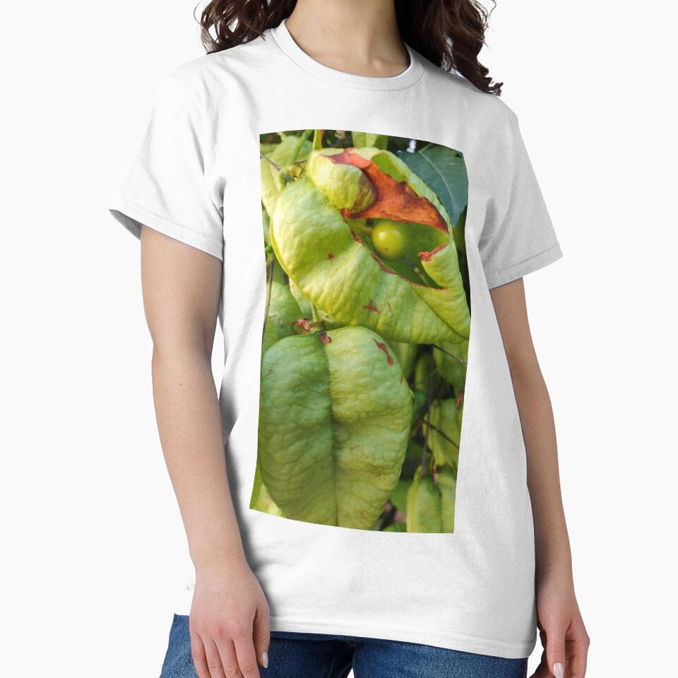 Happily Single Pea in a Pod by PaintThatSheep Art Shop