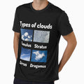 Types of clouds (cumulus, stratus, cirrus, dragonus) by Ollie P.  Leo