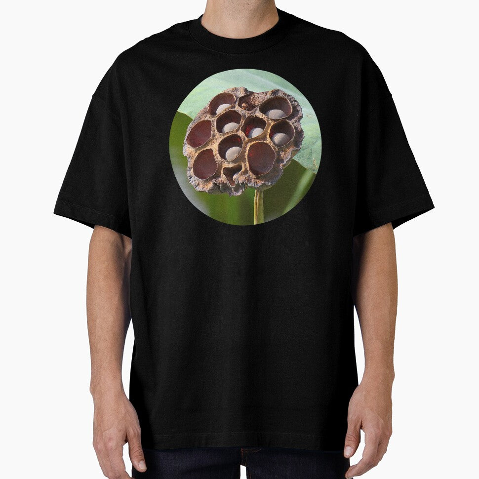 Lotus Seed Pod ... Potential by Linda Walsh