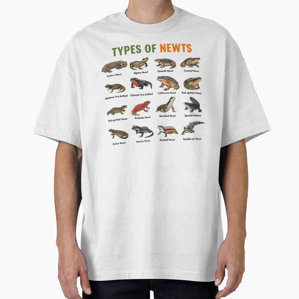 Types Of Newts Educational Chart Amphibian Biology Herpetology Lover Gift by AnnDesignStudio