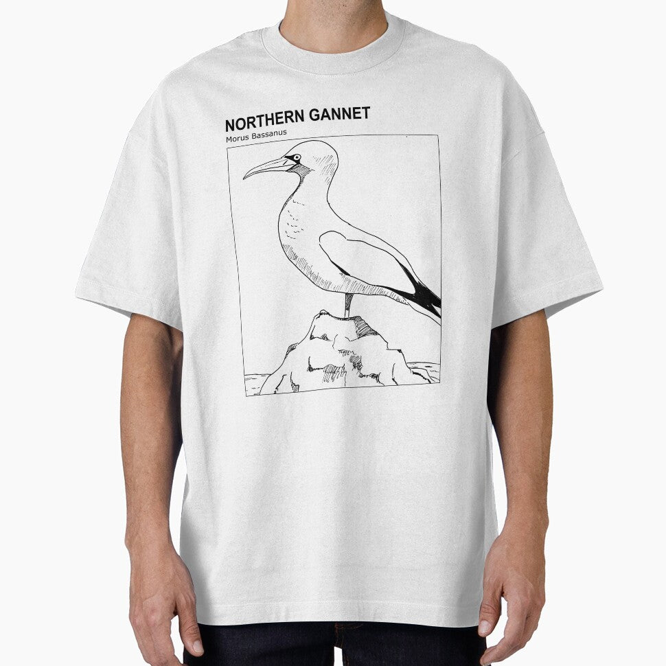Northern Gannet (English version) - Sketch by TheLostBreton