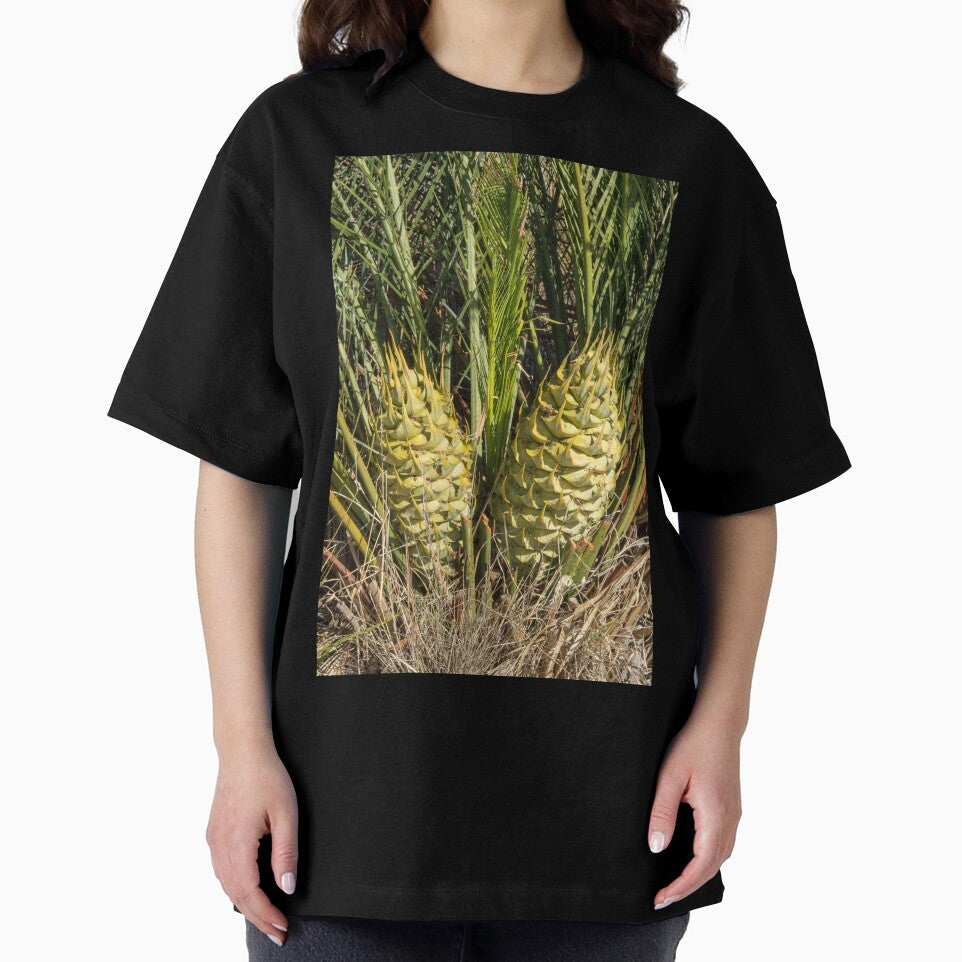 Cycad - Macrozamia fraseri by DPalmer