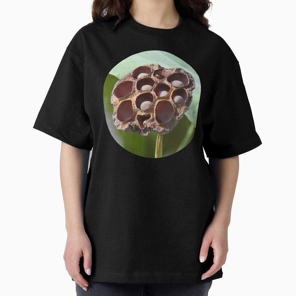 Lotus Seed Pod ... Potential by Linda Walsh