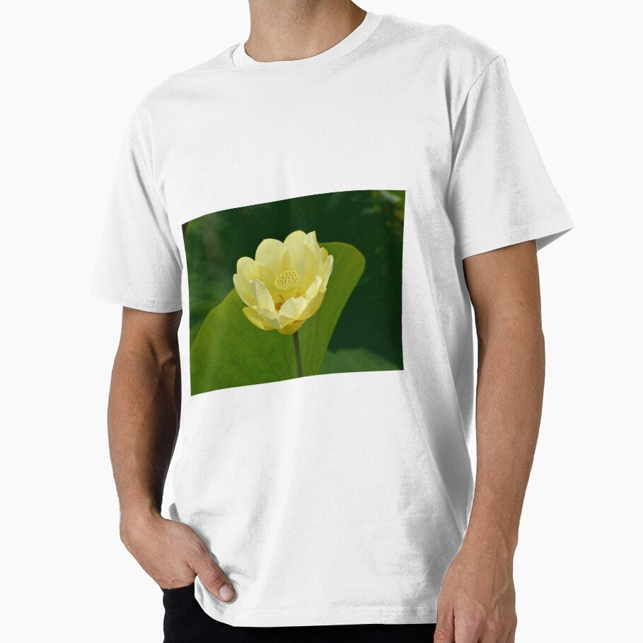 Yellow Water Lily by lisapicklepizza