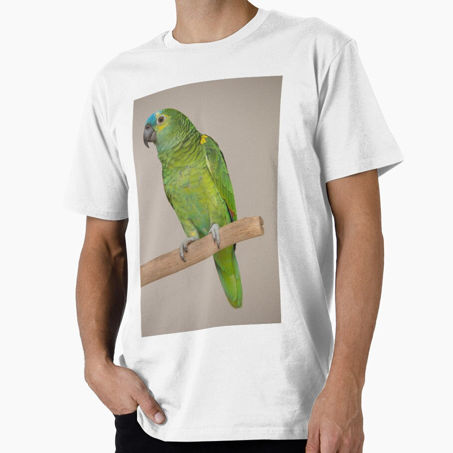 Blue-fronted Amazon by Jade Welch