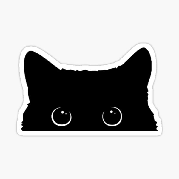Black cat by Flora22