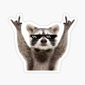 Raccoon Rock Sign Funny Glasses by stickersworld31